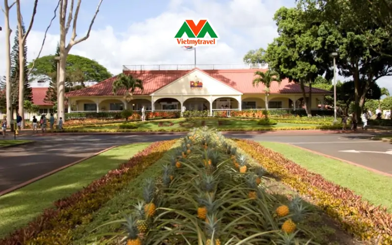 Dole Plantation - Trang trại trồng thơm
