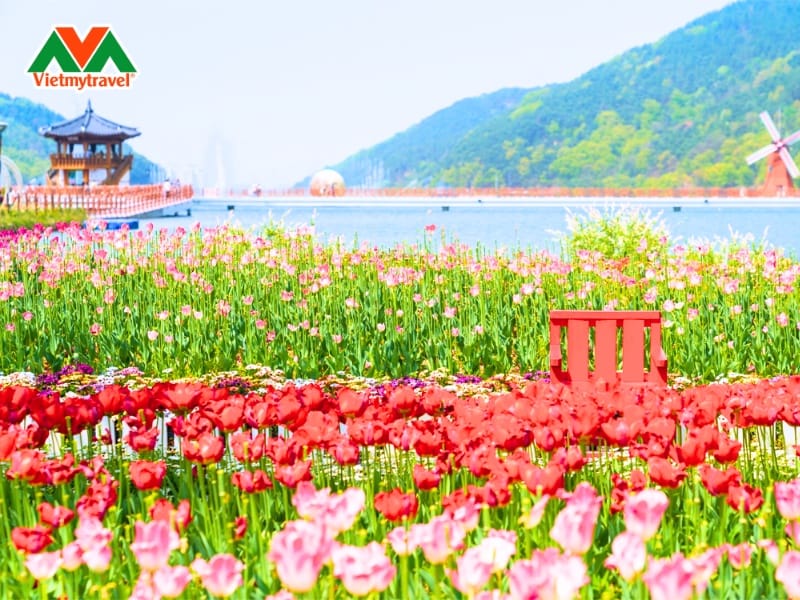 cong-vien-songhae-daegu-han-quoc-vietmytravel
