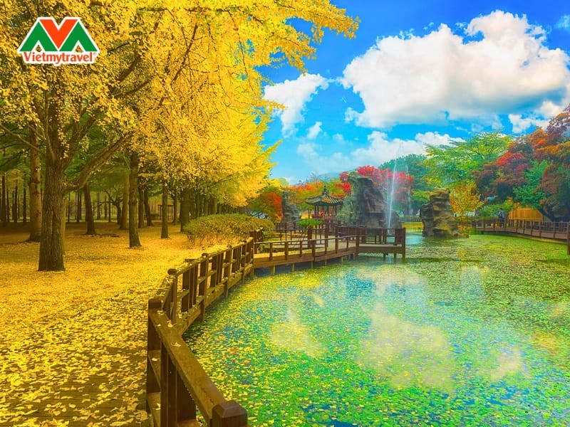 dao-nami-han-quoc-vietmytravel