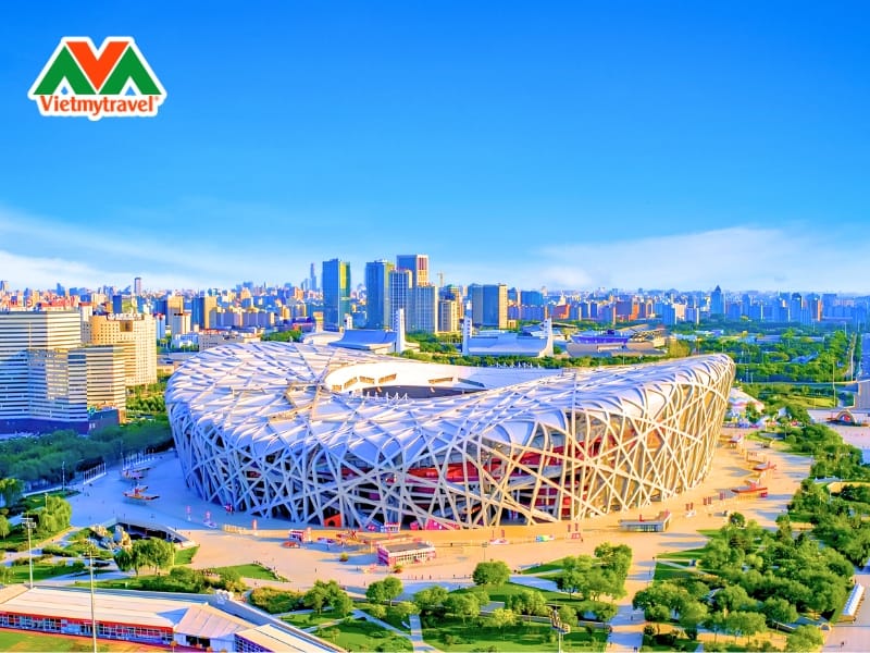 san-van-dong-to-chim-bac-kinh