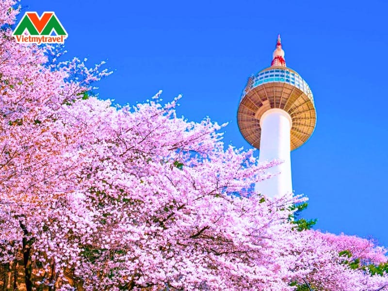 thap-namsan-han-quoc