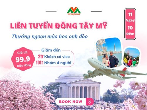 Tour Mỹ liên tuyến Đông Tây Hoa Kỳ ngắm hoa anh đào 2025 - Vietmytravel