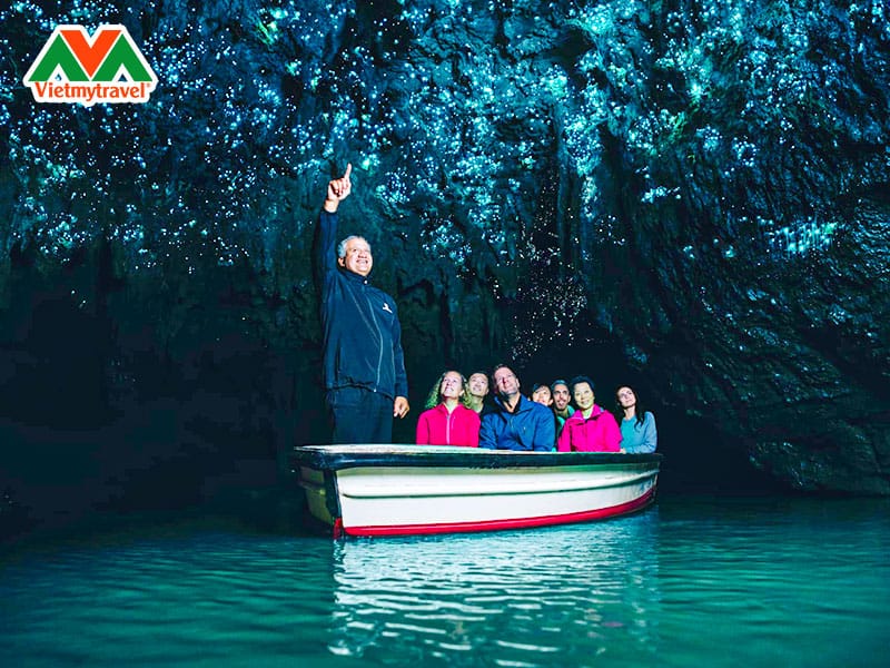 waitomo-glowworm-caves