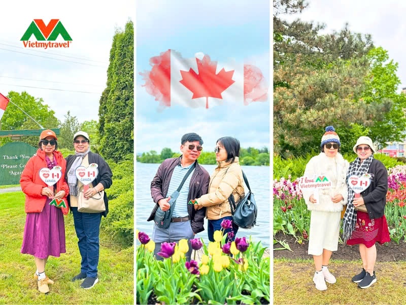 Kinh nghiệm xin Visa Canada đậu cao không nên bỏ lỡ