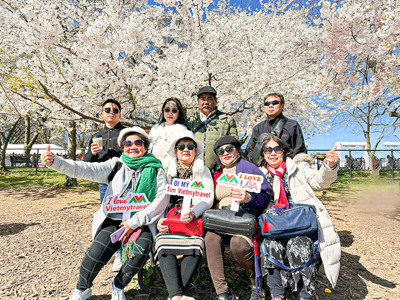 tour-du-lich-my-mua-hoa-anh-dao
