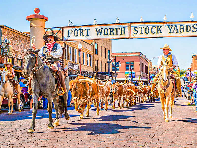 tour-du-lich-texas