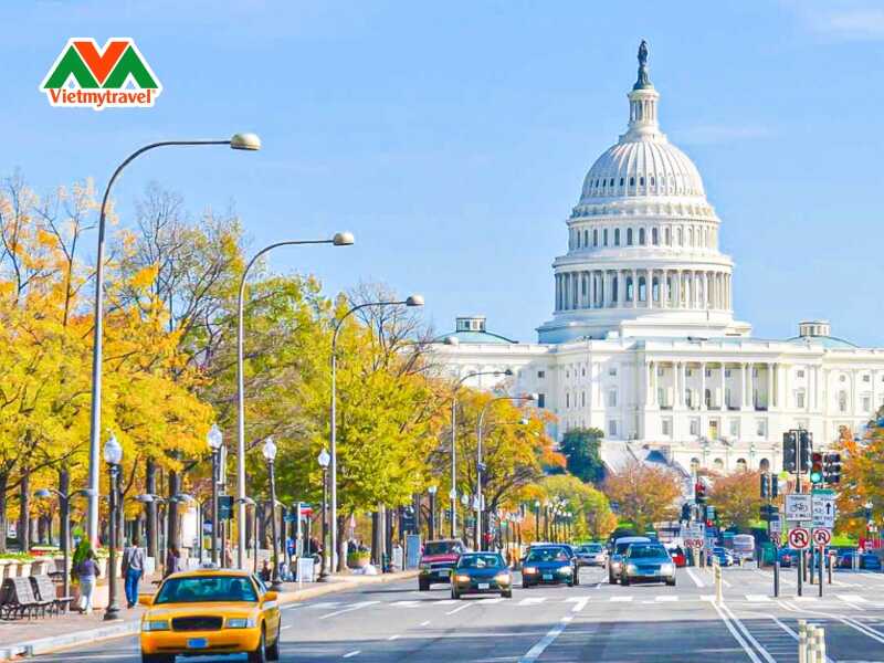 Washington D.C