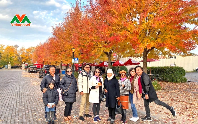 Dịch vụ du lịch cao cấp, chất lượng tại Vietmytravel