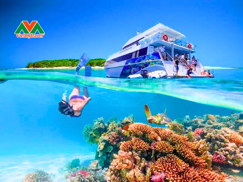 Rạn san hô Great Barrier Reef