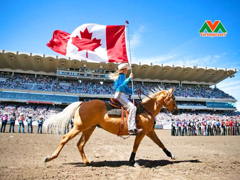 Calgary Stampede – Lễ hội cao bồi độc đáo nhất Bắc Mỹ