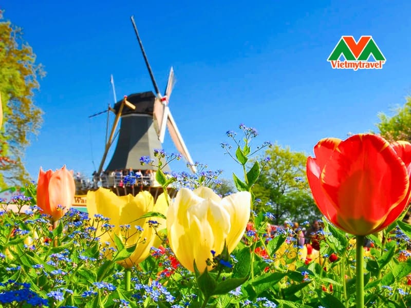 Lễ hội hoa Keukenhof