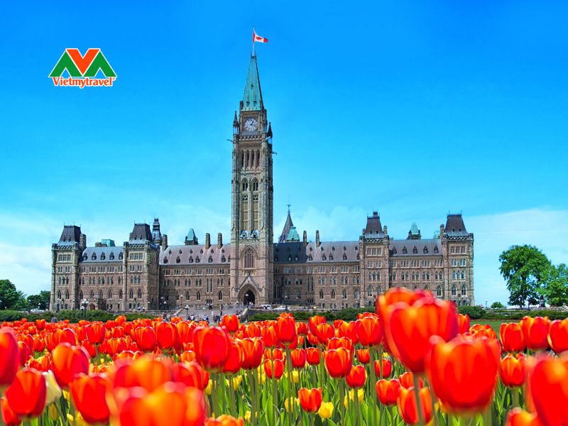 Lễ hội hoa tulip Canada