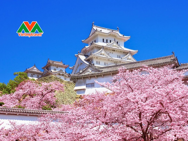 lau-dai-himeji