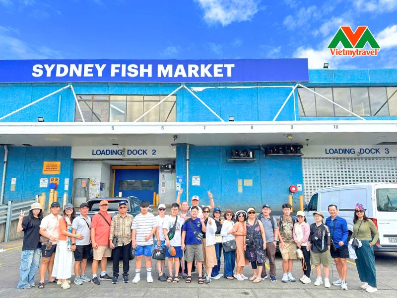sydney-fish-market