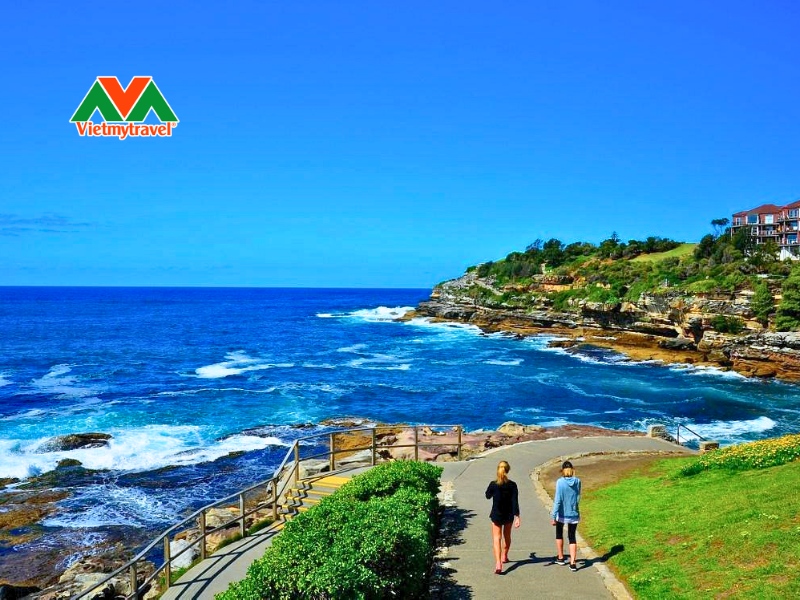 ven-bien-bondi-to-coogee