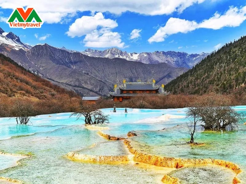 cuu-trai-cau-trung-quoc