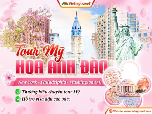 tour-du-lich-my-hoa-anh-dao-vietmytravel