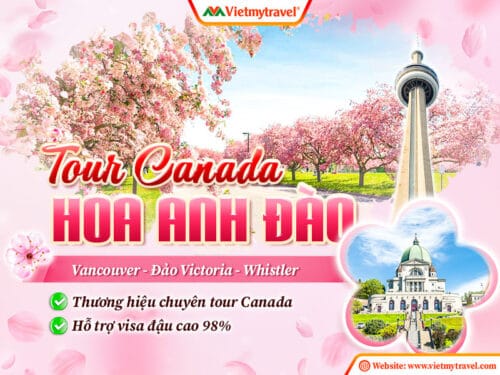 tour-canada-mua-hoa-anh-dao-vietmytravel