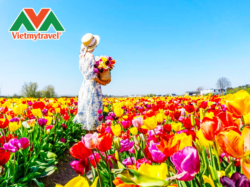 vuon-hoa-keukenhof