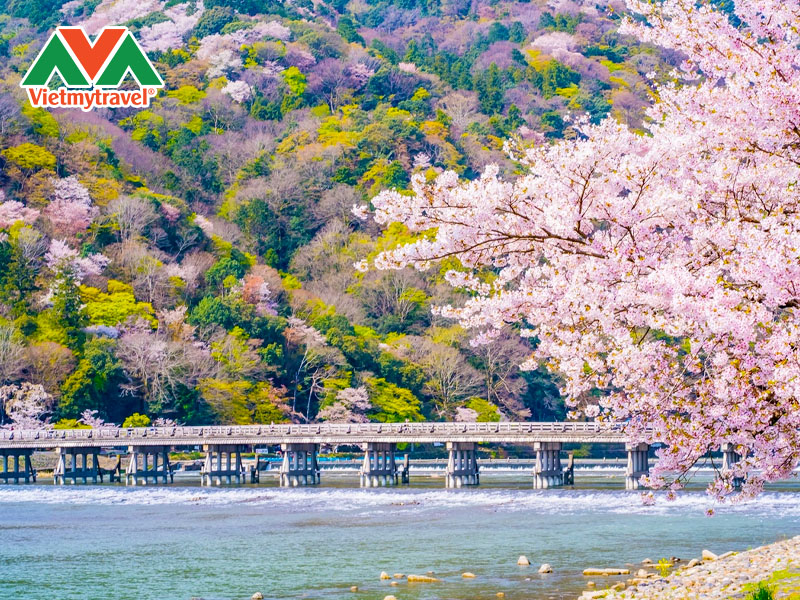 cau-togetsukyo