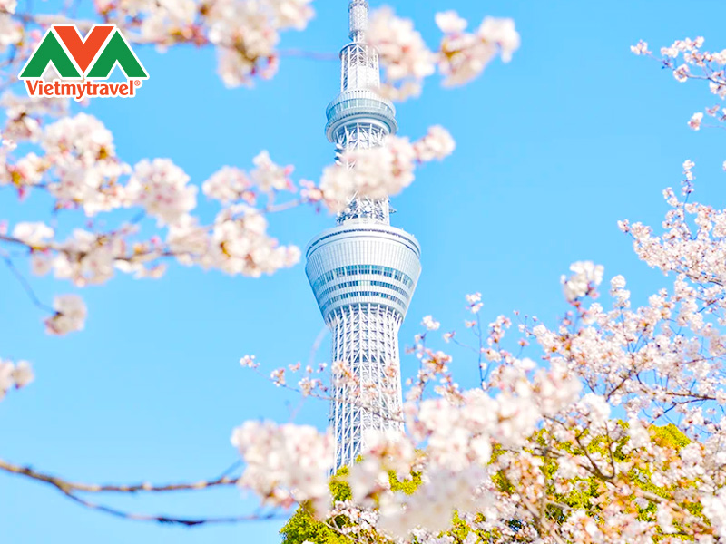 tokyo-skytree