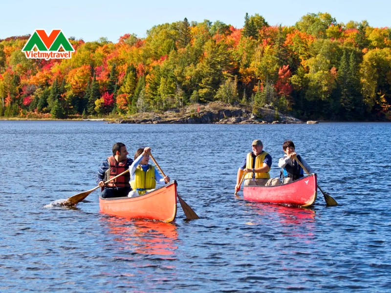 algonquin-park-vietmytravel