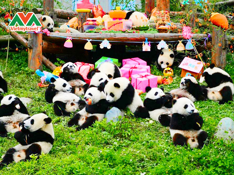 cong-vien-gau-truc-trung-khanh
