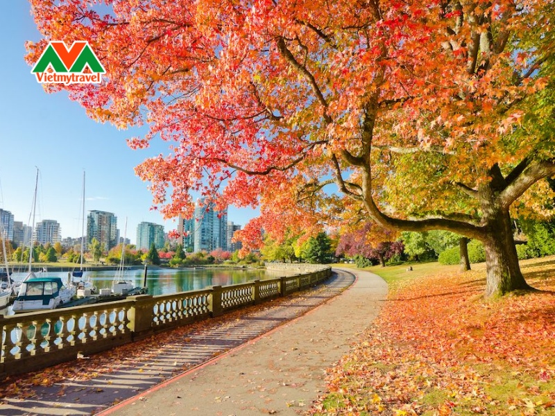cong-vien-stanley-park-mua-thu-vietmytravel
