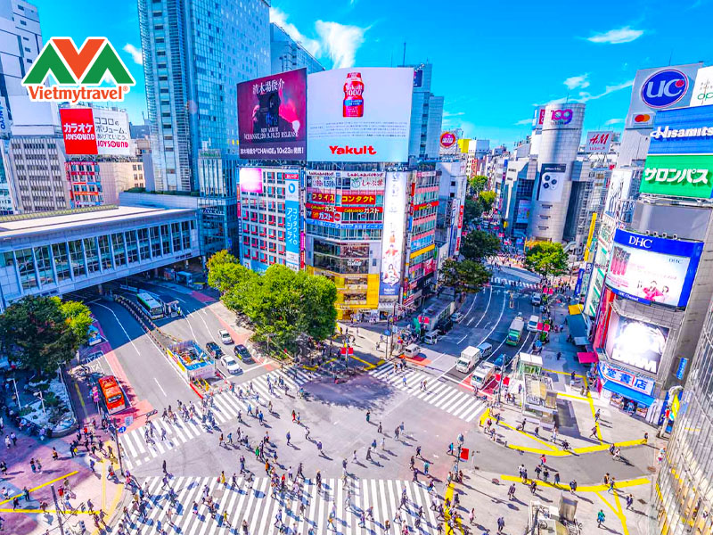 giao-lo-shibuya