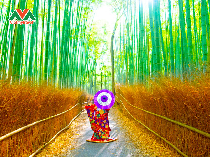 rung-tre-arashiyama