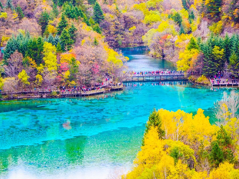 tour-thanh-do-cuu-trai-cau