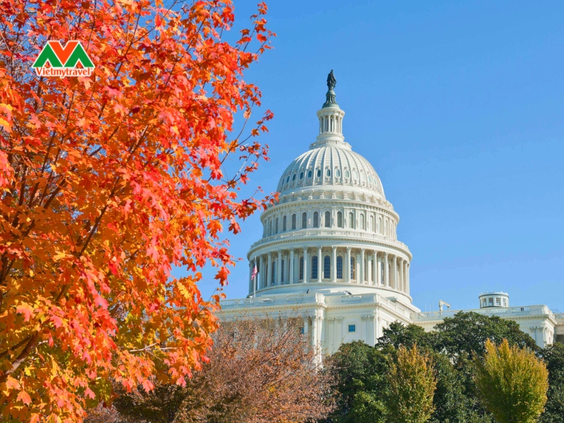 washington-dc-mua-thu-vietmytravel