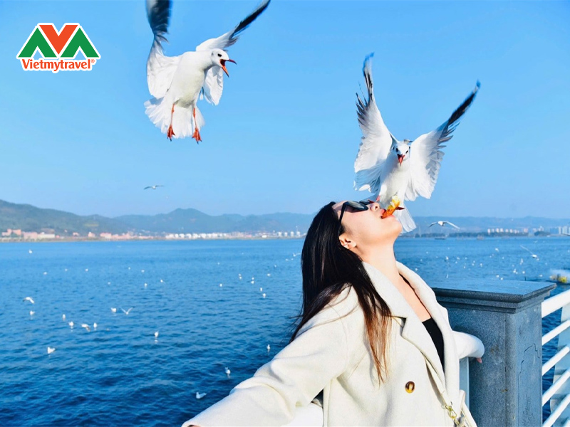 chinh-sach-mien-visa-transit-240h-cho-nguoi-viet