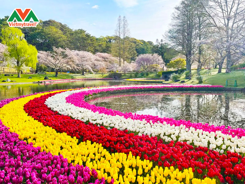 cong-vien-hoa-hamamatsu