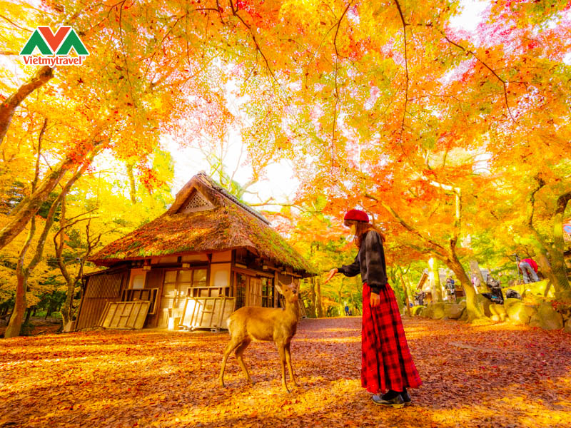 cong-vien-nara