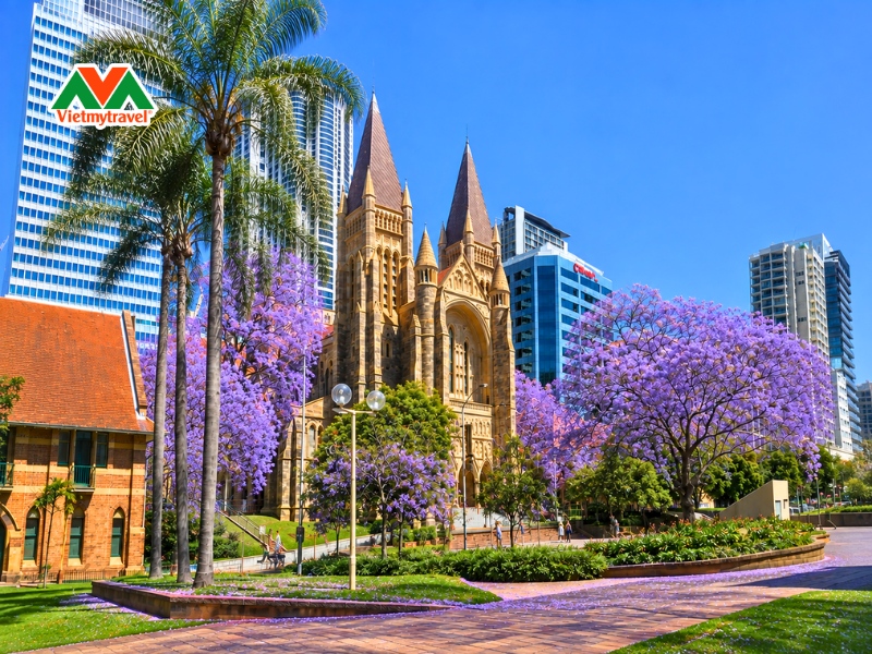 dia-diem-ngam-hoa-phuong-tim-o-uc-thanh-pho-brisbane