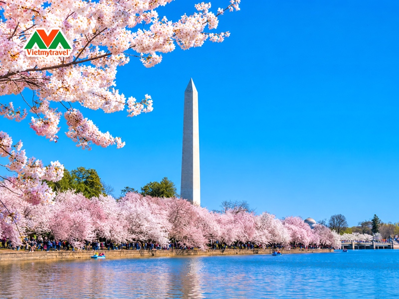 ho-tidal-basin-washington-dc