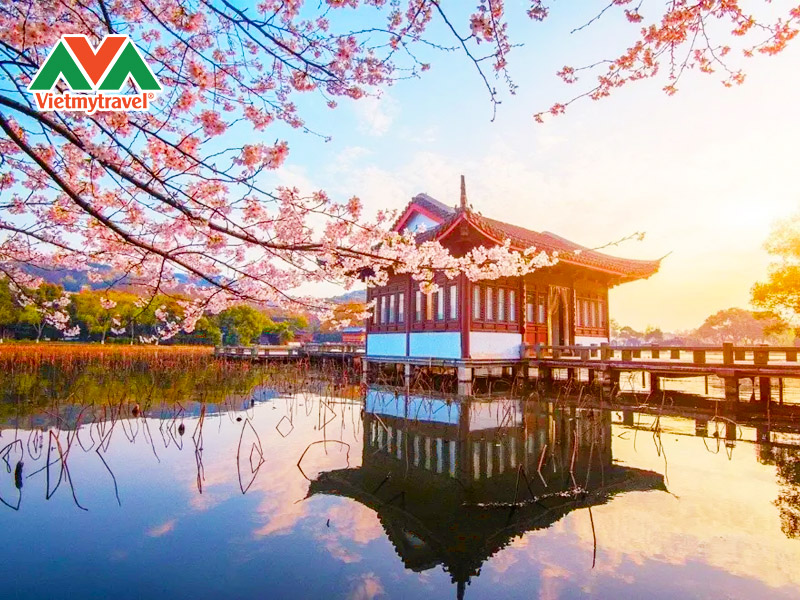 ngam-hoa-anh-dao-tai-tay-ho
