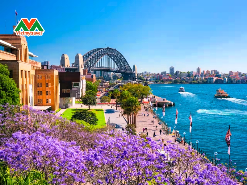 royal-botanic-garden-sydney