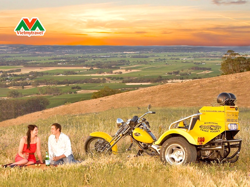 thung-lung-barossa-mua-thu-vietmytravel