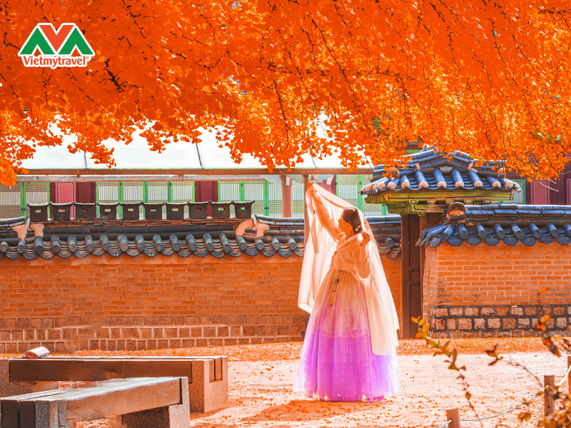 tour-han-quoc-mua-la-do