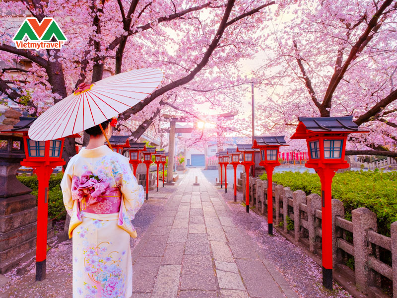 tour-nhat-ban-mua-hoa-anh-dao