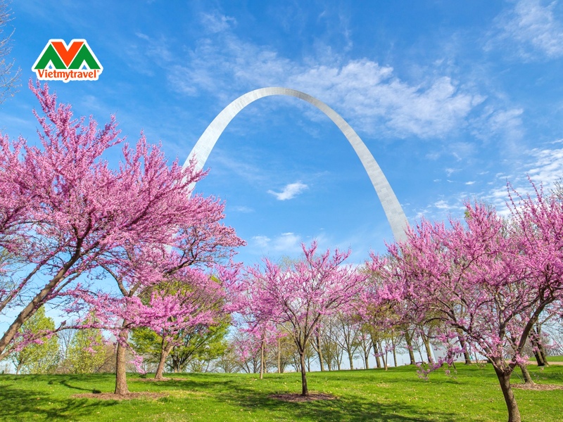 vuon-bach-thao-missouri-st-louis