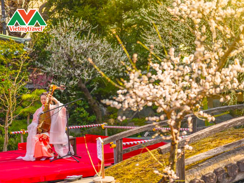ume-matsuri