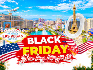 dia-diem-mua-sam-black-friday-tai-my